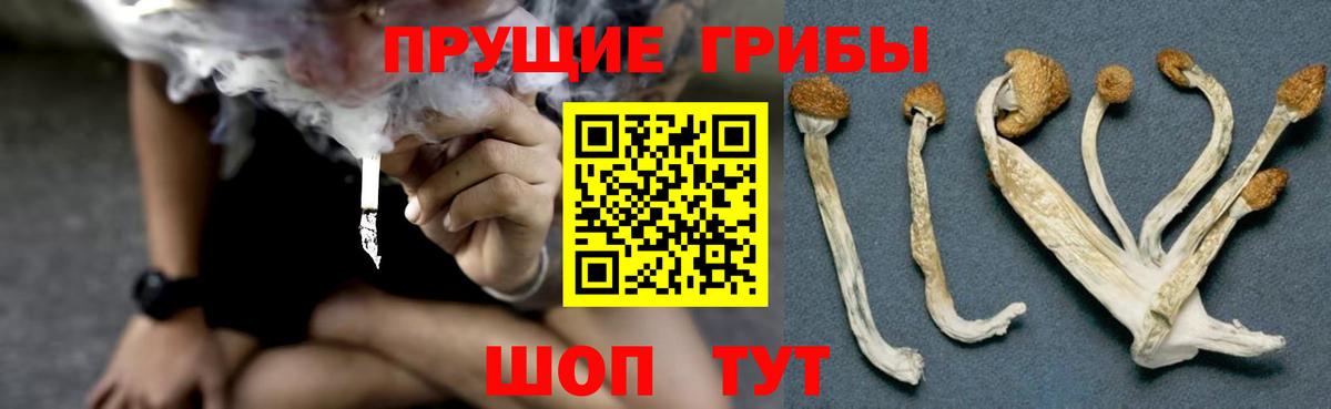закладка  Псилоцибиновые грибы прущие грибы  Вход с VPN  Мариинск 